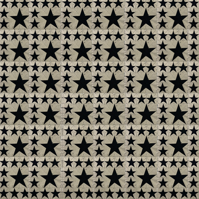 The Perseverance Star Quilt: A Journey of Craft and Determination.