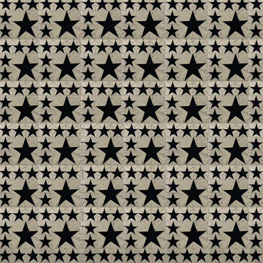 The Perseverance Star Quilt: A Journey of Craft and Determination.