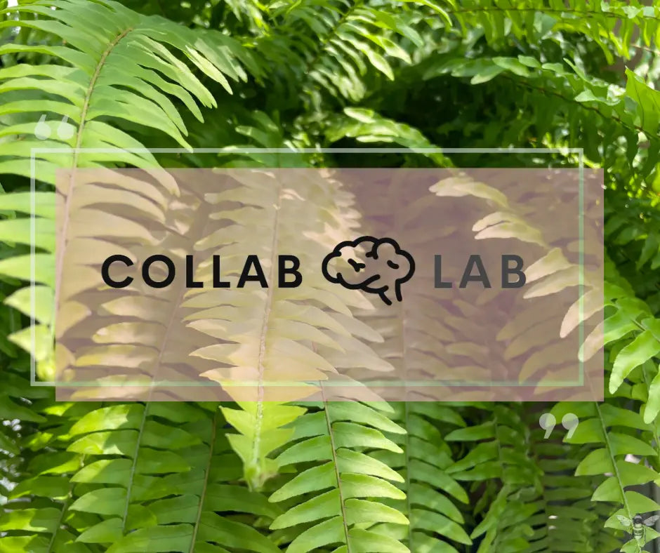 A Tapestry of Innovation: How the Collab Lab Inspires SAQA Members